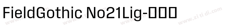 FieldGothic No21Lig字体转换